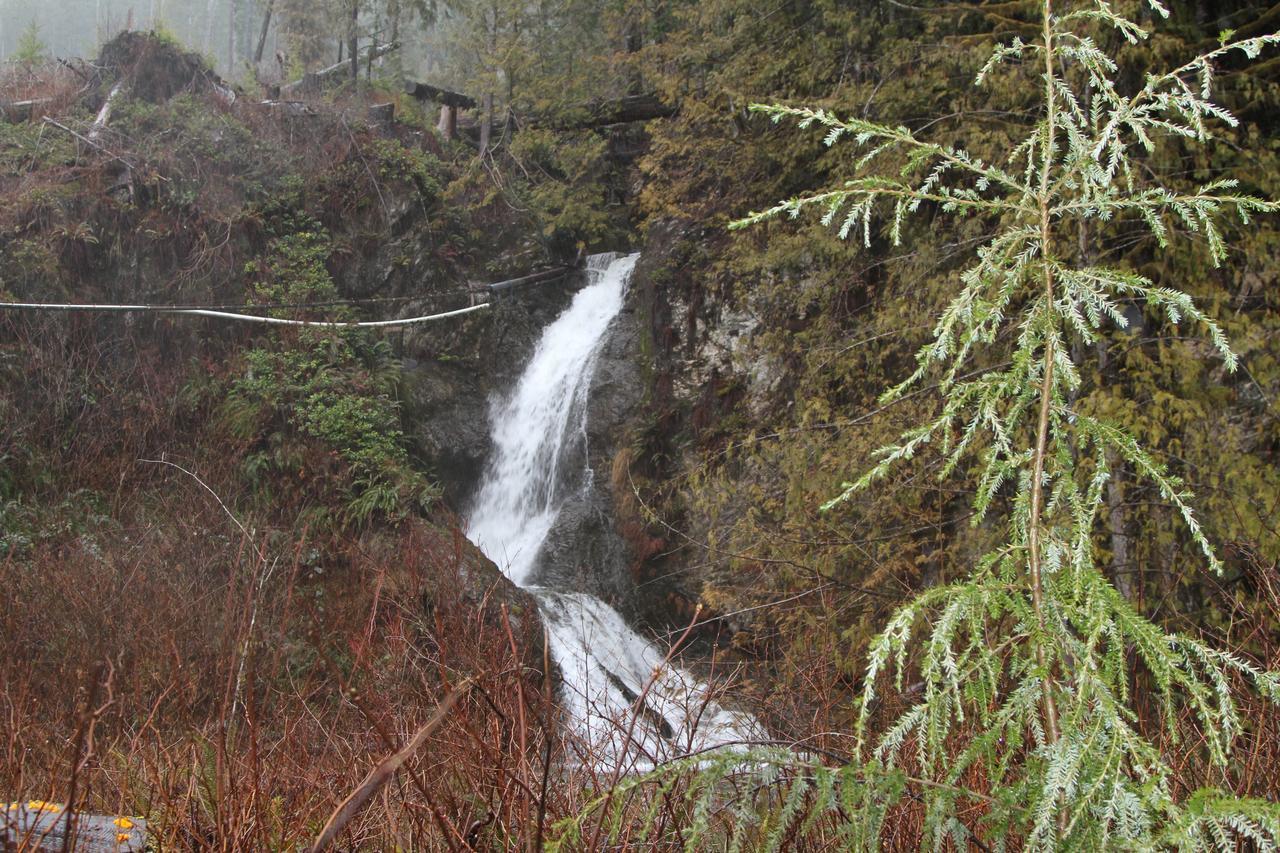 Tilby'S Rainbow Cottage Port Renfrew Esterno foto