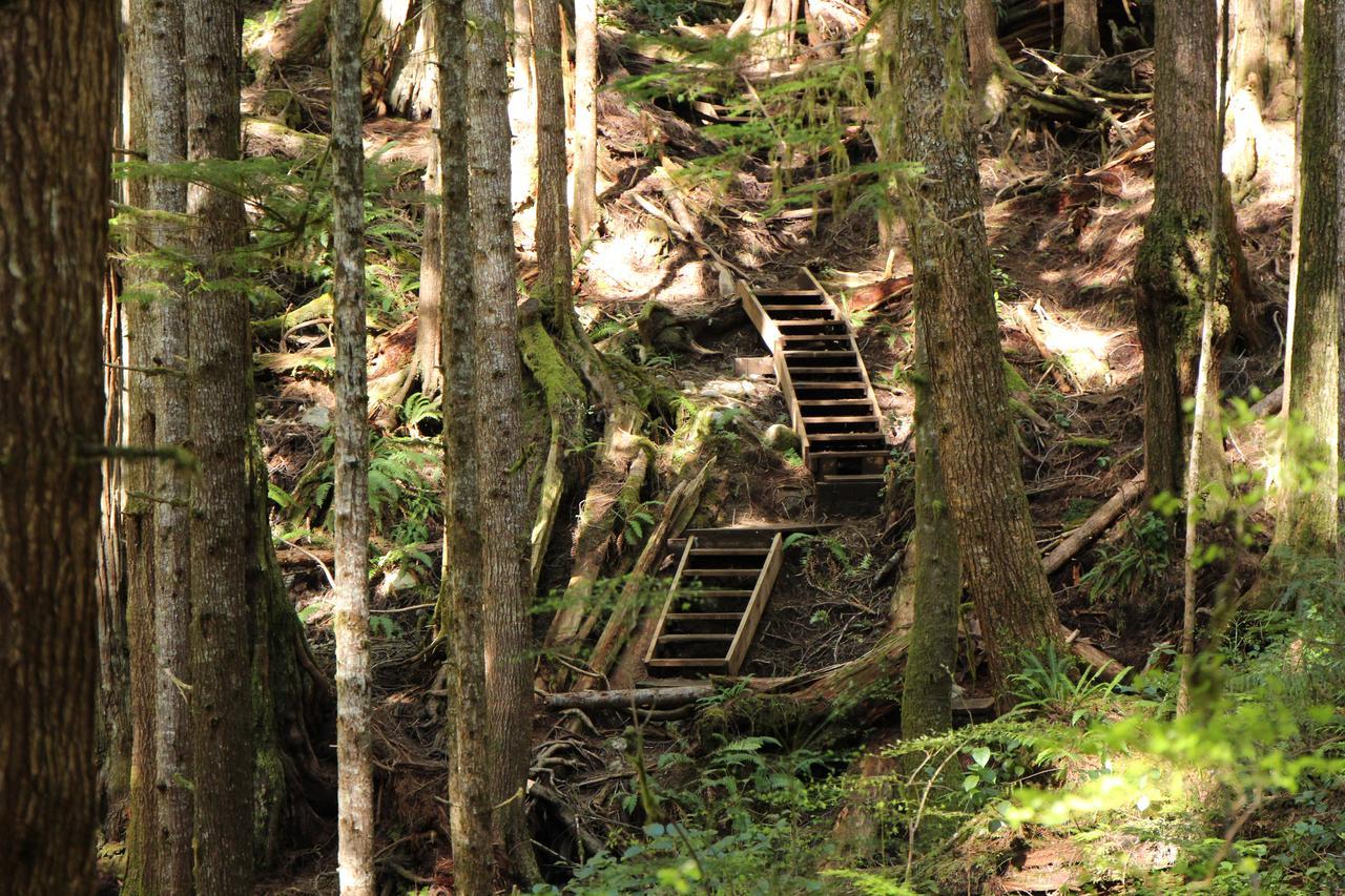 Tilby'S Rainbow Cottage Port Renfrew Esterno foto