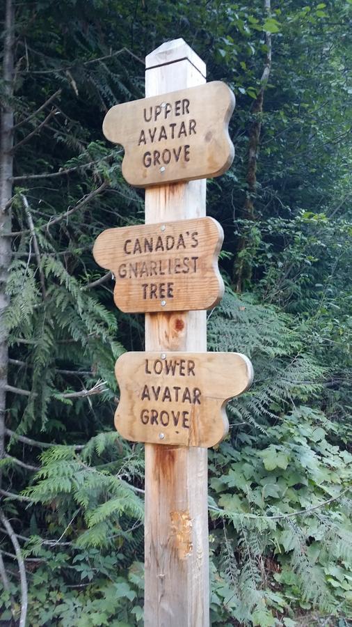 Tilby'S Rainbow Cottage Port Renfrew Esterno foto
